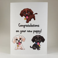 New Puppy Congrats